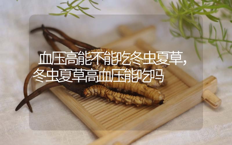 血壓高能不能吃冬蟲夏草，冬蟲夏草高血壓能吃嗎？