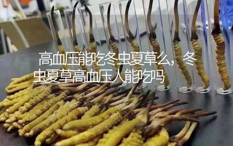 高血壓能吃冬蟲夏草么，冬蟲夏草高血壓人能吃嗎