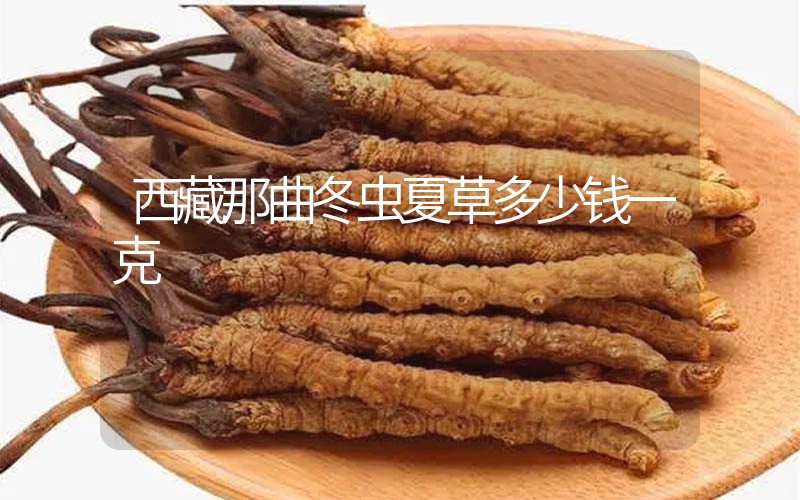 西藏那曲冬蟲夏草多少錢一克？