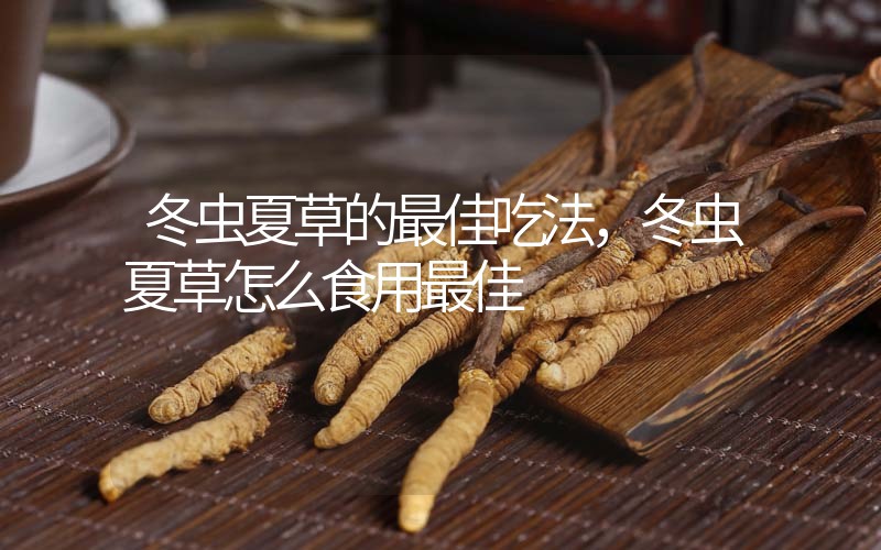 冬蟲夏草的最佳吃法，冬蟲夏草怎么食用最佳