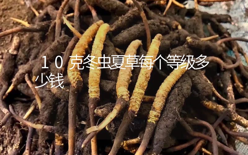 10克冬蟲夏草每個等級多少錢？