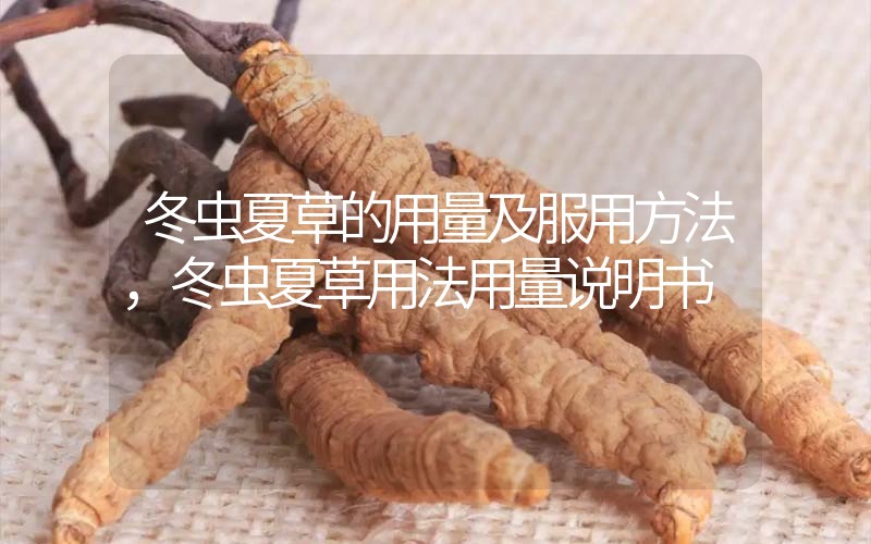 冬蟲夏草的用量及服用方法，冬蟲夏草用法用量