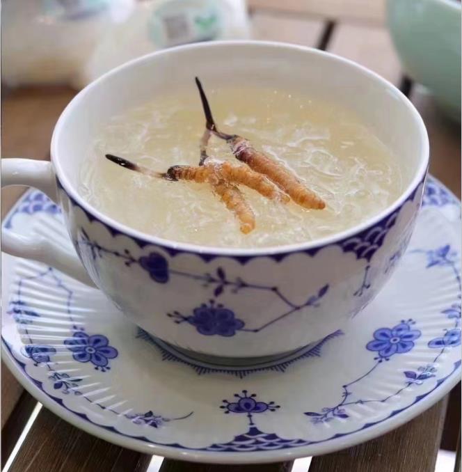 養(yǎng)生小竅門：冬蟲夏草燉什么好喝？