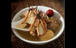 冬蟲(chóng)夏草可以和蘑菇一起吃嗎？