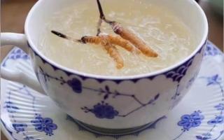 冬蟲夏草燉燕窩怎么做？
