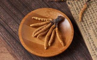新手應(yīng)如何辨別真假冬蟲(chóng)夏草？