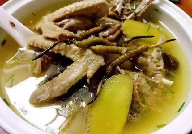 冬蟲(chóng)夏草和哪些食材可以一起煲湯?