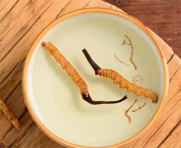 冬蟲(chóng)夏草可以泡水喝嗎？冬蟲(chóng)夏草泡水的步驟