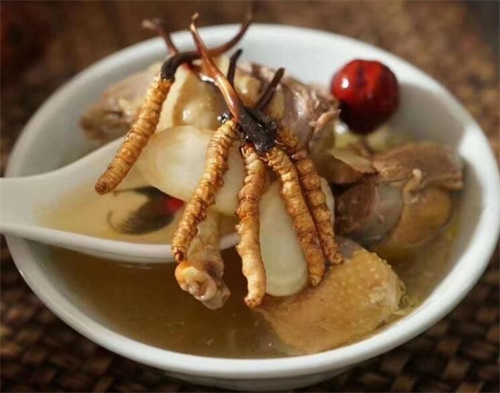 冬蟲夏草可以燉海鯽魚嗎？
