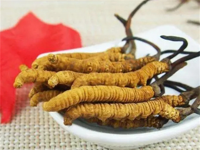 產(chǎn)后冬蟲夏草怎么吃？產(chǎn)后冬蟲夏草的3種食用方法