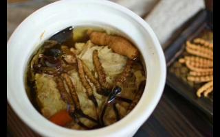 冬蟲(chóng)夏草怎么食用？解鎖滋補(bǔ)養(yǎng)生的正確打開(kāi)方式