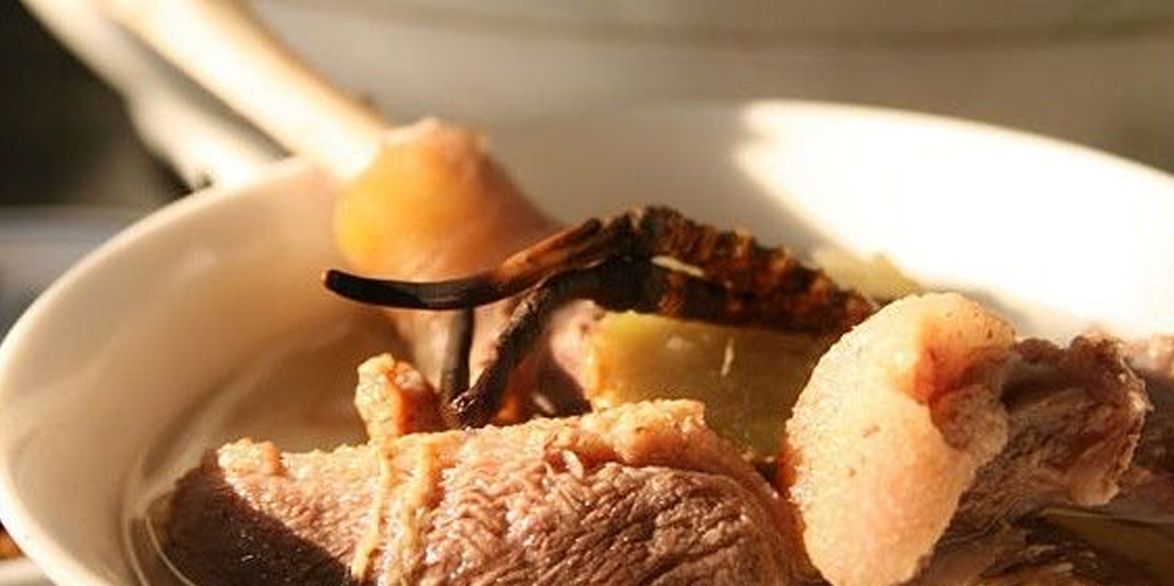 冬蟲(chóng)夏草怎么吃？多種食用方法全解析