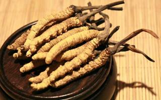 冬蟲夏草的價(jià)格一克：為何如此昂貴？