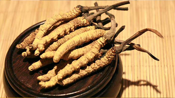 未來(lái)冬蟲夏草會(huì)漲價(jià)嗎？