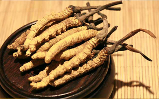 未來(lái)冬蟲夏草會(huì)漲價(jià)嗎？