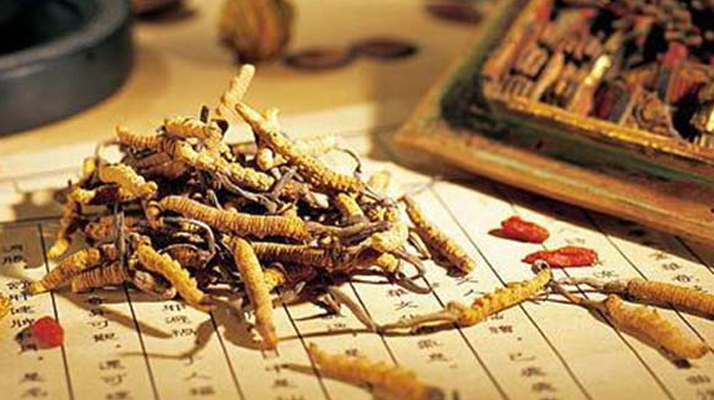同仁堂健康冬蟲夏草：傳承品質(zhì)，饋贈健康
