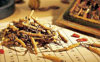 同仁堂健康冬蟲夏草：傳承品質(zhì)，饋贈健康