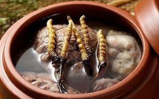 鮮冬蟲(chóng)夏草吃多會(huì)上火嗎？一文解析真相
