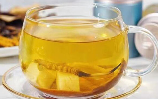 冬蟲夏草可以直接泡水喝嗎？科學(xué)解析與正確方法