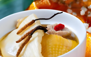 冬蟲(chóng)夏草每天什么時(shí)候吃最好？一文詳解最佳食用時(shí)間