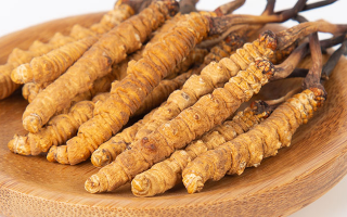 冬蟲夏草怎么驗(yàn)真假？教你幾招秒判斷真?zhèn)蚊丶?> </div>
            <div   id=