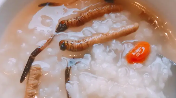 冬蟲夏草適合哪些人群？精準(zhǔn)匹配與禁忌提醒