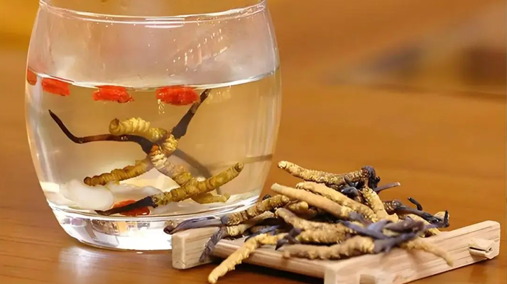 長期喝冬蟲夏草泡水好嗎？科學分析與飲用指南