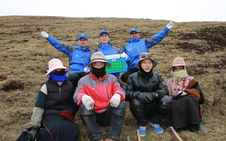 西藏冬蟲夏草的主要產地：品質與地域特色詳解
