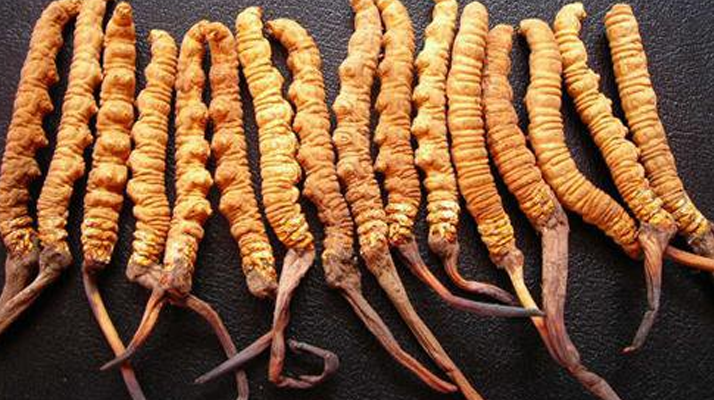 新鮮<a href=http://www.gdyuntian.com/gongxiao/ target=_blank class=infotextkey><a href=http://www.gdyuntian.com/gongxiao/ target=_blank class=infotextkey><a href=http://www.gdyuntian.com/yangsheng/ target=_blank class=infotextkey>冬蟲夏草的功效</a></a></a>與作用：活性保留更完整，解鎖天然滋補新價值