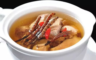 冬蟲夏草怎樣燉是最好的？掌握這幾步，營養(yǎng)不流失還美味