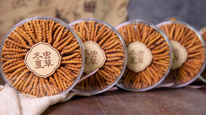 把握黃金時(shí)段！冬蟲(chóng)夏草在這些時(shí)候吃效果更佳