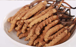 冬蟲(chóng)夏草一公斤多少錢(qián)？多因素交織下的價(jià)格密碼