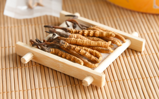 這些藥材形似冬蟲(chóng)夏草，辨別要點(diǎn)需牢記