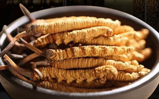 冬蟲夏草效果好不好用？科學(xué)與實(shí)踐視角下的全面解析