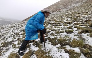 西藏挖冬蟲夏草在什么時候？產(chǎn)區(qū)與時間全攻略