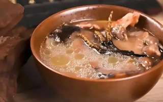 冬蟲夏草治什么病效果好？厘清輔助調理邊界與適用場景