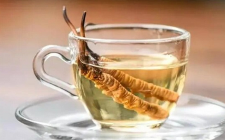 十根冬蟲夏草泡多少酒？科學(xué)配比與實(shí)操指南