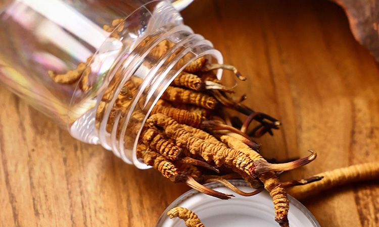 <a href=http://www.gdyuntian.com/jiage/ target=_blank class=infotextkey>冬蟲夏草多少錢</a>一條 