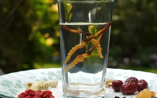 人參配蟲(chóng)草泡酒，泡多久才好喝？咱跟你說(shuō)實(shí)在的