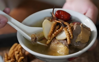 冬蟲(chóng)夏草和什么一起燉可以治咳嗽？