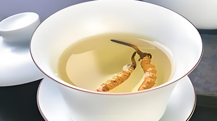 鮮冬蟲(chóng)夏草可以煮水喝嗎？有什么功效和作用？