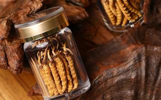 冬蟲夏草養(yǎng)生指南：分清滋補(bǔ)功效，避開養(yǎng)生誤區(qū)