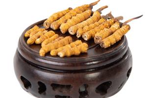 冬蟲夏草的頭期斷草好嗎？有沒有營(yíng)養(yǎng)價(jià)值？