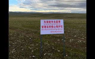 高原之上，蟲草共生；守護生態(tài)，東強堂與你同行