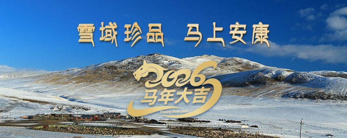 雪域高原藏珍品，2026愿您馬上安康——來自西藏那曲蟲草網(wǎng)的新春祝福