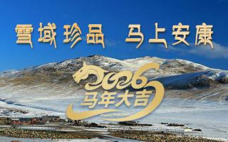 雪域高原藏珍品，2026愿您馬上安康——來(lái)自西藏那曲蟲草網(wǎng)的新春祝福