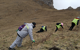 深耕那曲雪域，甄選正宗好草——2026那曲冬蟲夏草優(yōu)質(zhì)品牌盤點(diǎn)
